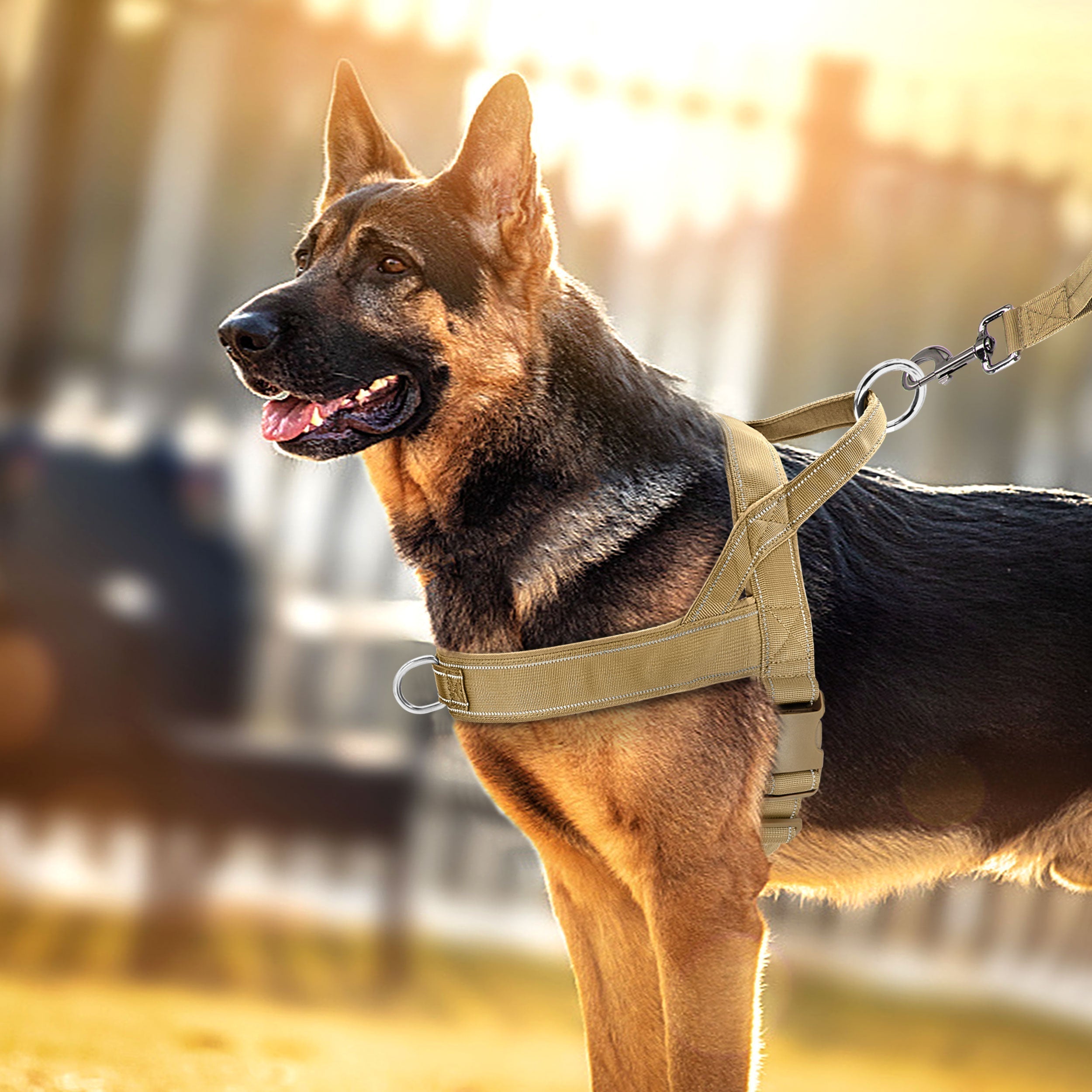 No-Pull Dog Harness with Reflective Details Khaki
